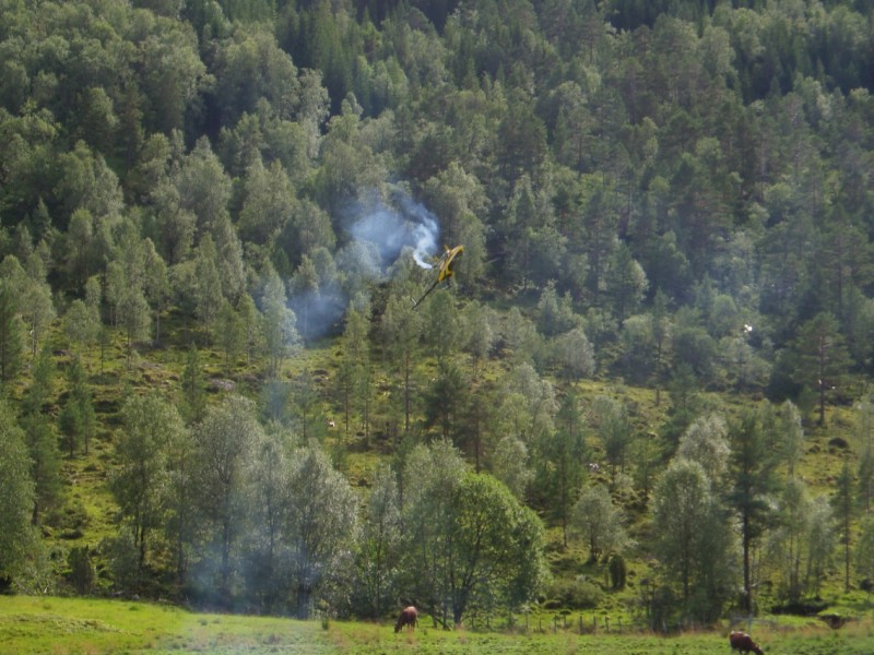 steindalen 09.08.2009 017.jpg