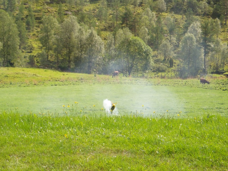 steindalen 09.08.2009 018.jpg