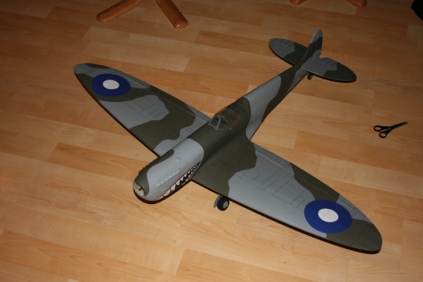 spitfire1 (600 x 401).jpg