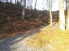 20130322_160437.jpg