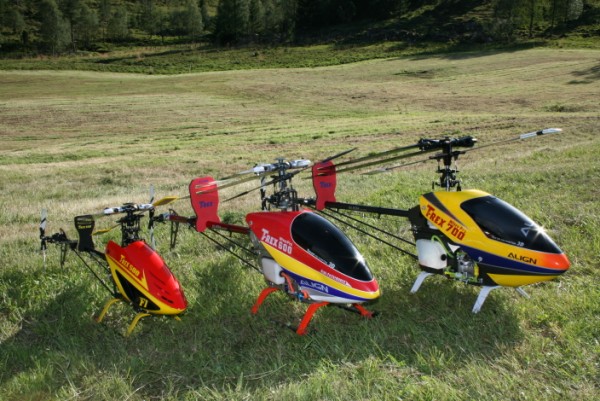 T-rex 500-600-700 (600 x 401).jpg